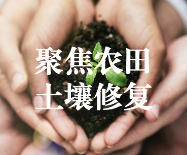 聚焦農(nóng)田土壤修復(fù)，保障糧食產(chǎn)品安全 ——踔厲奮發(fā)、篤行不怠，以奮斗之姿獻禮黨的二十大