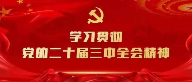 學習會議精神，貫徹落實工作 --川勘天晟源公司黨支部召開主題黨員大會